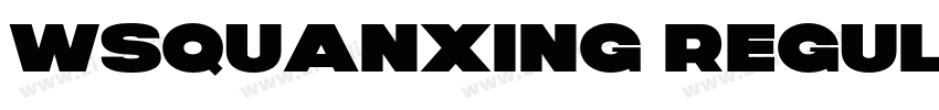 WSQuanXing Regular G字体转换 WSQuanXing Regular G字体转换